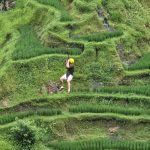 Bali Zip Line