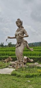 In den Reisterrrassen von Jatiluwih