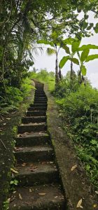 In den Reisterrrassen von Jatiluwih